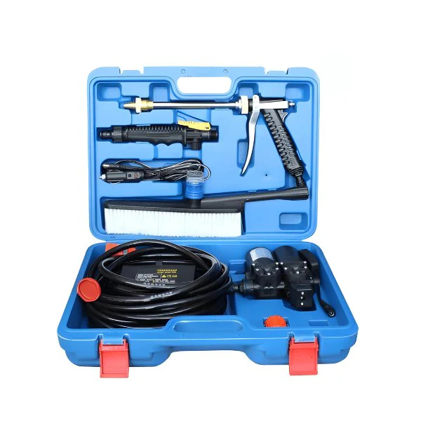 220V Portable Dual-Pump Car Wash Tool